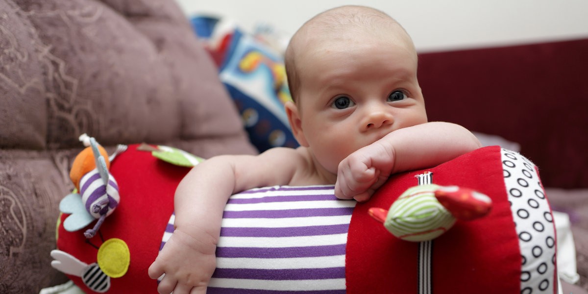 Krabbelrollen für Babys gibt es in vielen verschiedenen Ausführungen