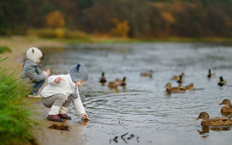 Herbst Aktivität mit Kindern Enten füttern